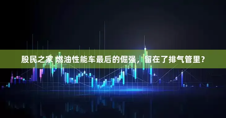 股民之家 燃油性能车最后的倔强，留在了排气管里？