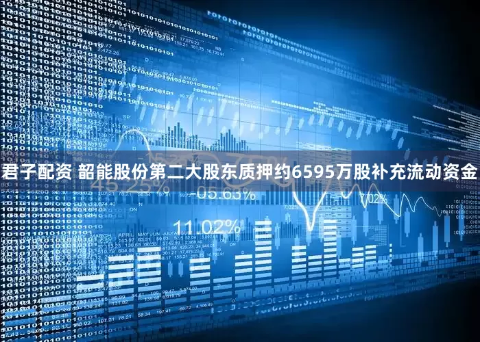君子配资 韶能股份第二大股东质押约6595万股补充流动资金