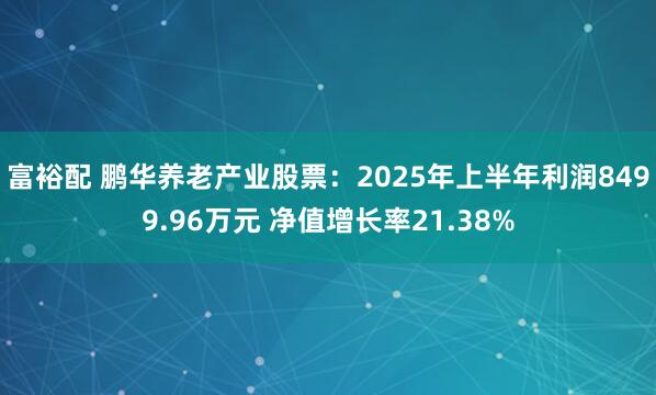 富裕配 鹏华养老产业股票：2025年上半年利润8499.96万元 净值增长率21.38%