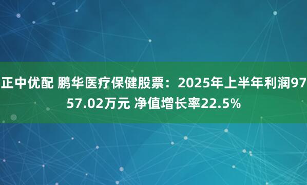 正中优配 鹏华医疗保健股票：2025年上半年利润9757.02万元 净值增长率22.5%