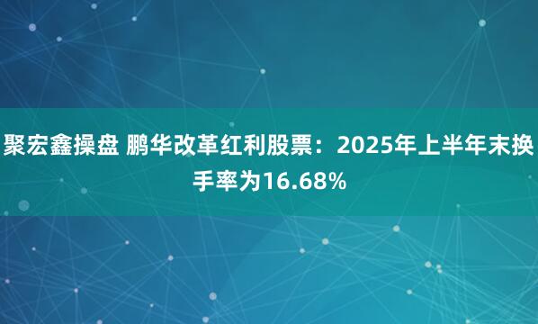 聚宏鑫操盘 鹏华改革红利股票：2025年上半年末换手率为16.68%