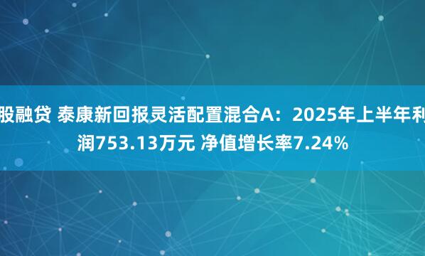 股融贷 泰康新回报灵活配置混合A：2025年上半年利润753.13万元 净值增长率7.24%