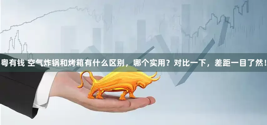 粤有钱 空气炸锅和烤箱有什么区别，哪个实用？对比一下，差距一目了然！