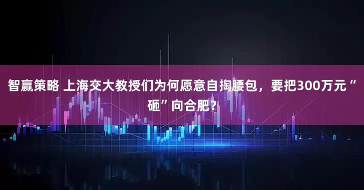 智赢策略 上海交大教授们为何愿意自掏腰包，要把300万元“砸”向合肥？